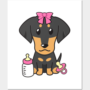 Cute dahshund is a baby - girl Posters and Art